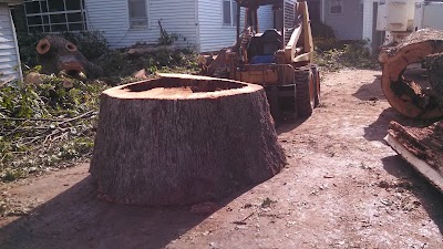 Johnson Tree Landscaping & Property Maintenance, photographed by a Google contributor