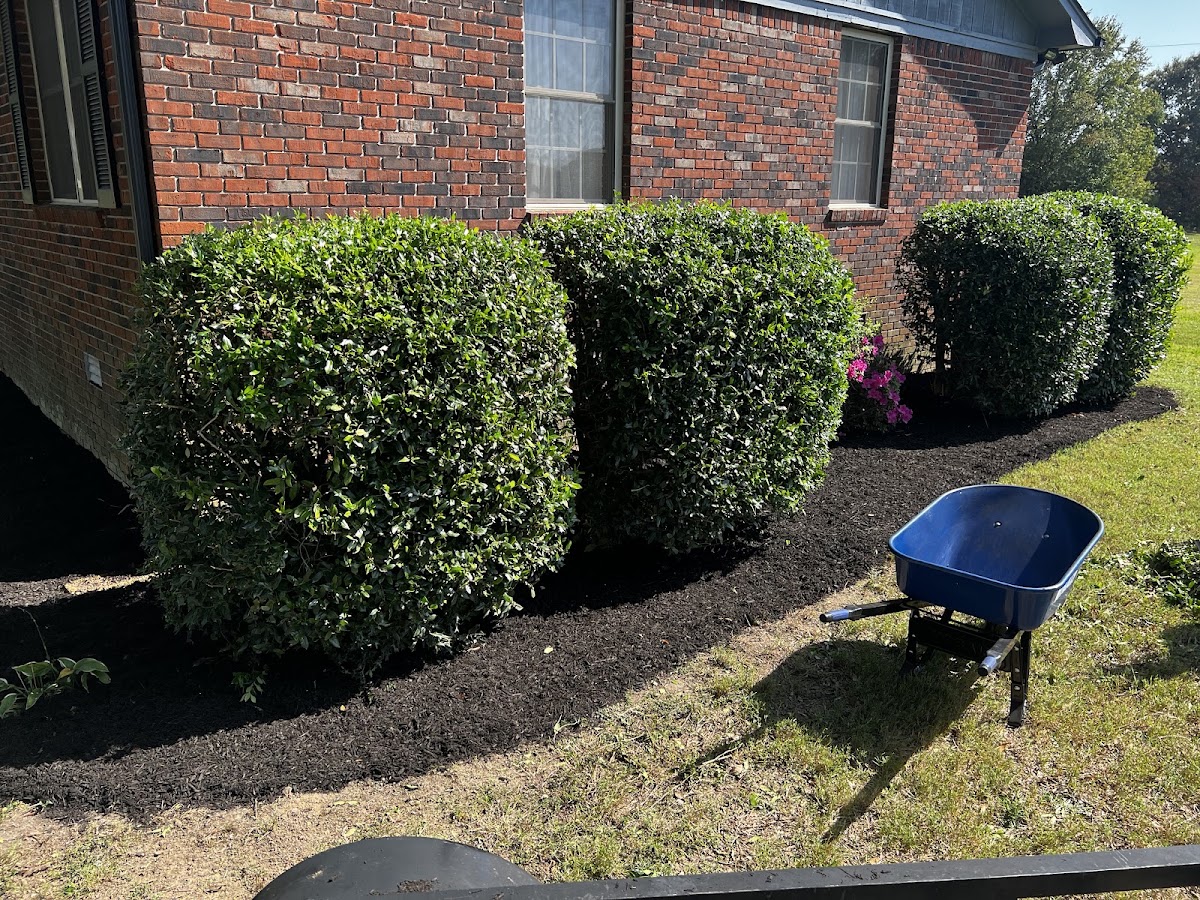 Pure Lawn Care, photographed by a Google contributor