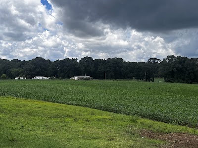 Cliff Creek RV Park, photographed by a Google contributor